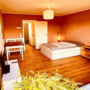 Kamer met een King Size Bed